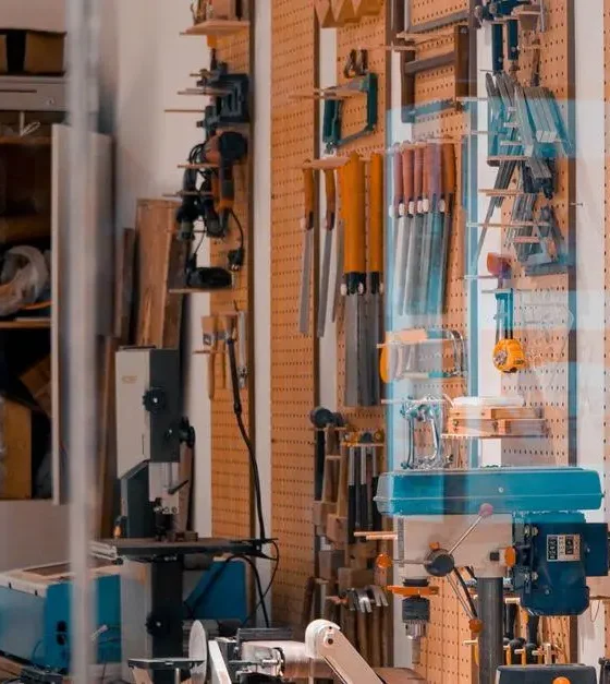 rokas instrumenti